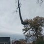 Photo of Darrin's Tree Service