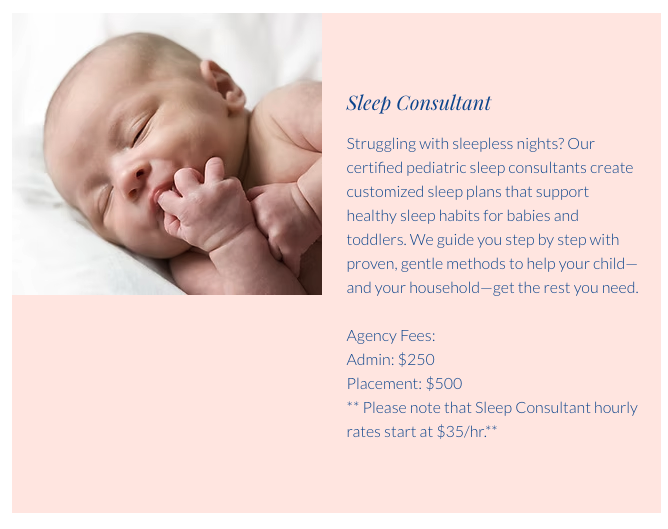 LowCountry Nanny & Babysitting Agency - childcare center in Mount Pleasant, SC