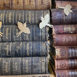 Smith Family Bookstore - So many wonderful old books here!