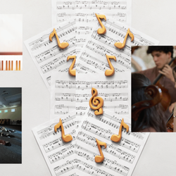 Cello Sanct Shop & Studio
