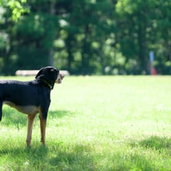 Prairie View County Park - ready to play in the large park