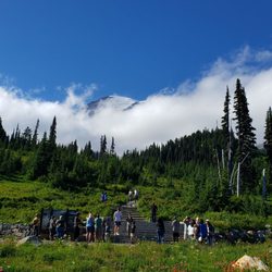 Paradise Glacier Trail - Mount Rainier National Park