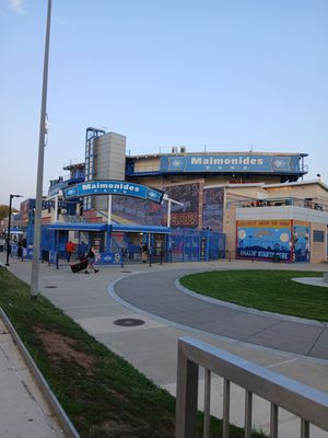 Maimonides Park by null