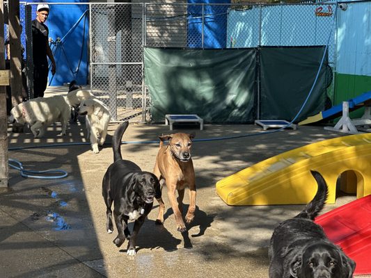 DoGone Fun Resort by null