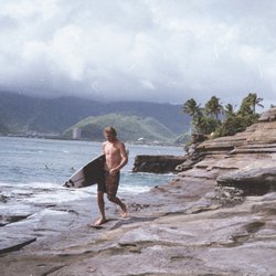 Billabong Santa Cruz