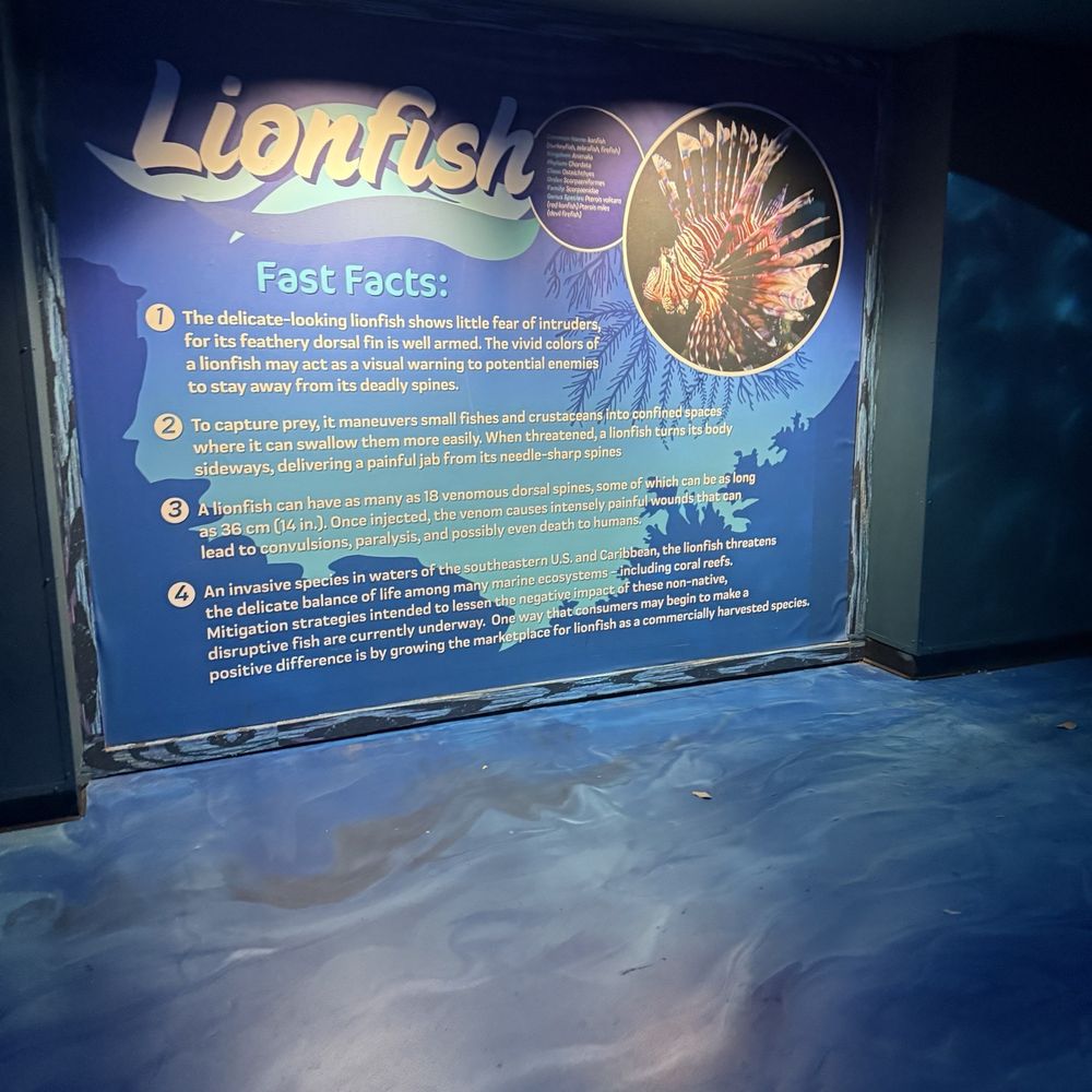 Shark Encounter - Aquariums Near Me - Orlando, Florida