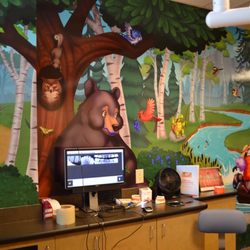 Little Smiles Pediatric Dentistry - Digitally integrated patient charting, pictures and up-to-date technology