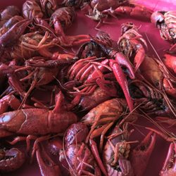 New Orleans Style Seafood Restaurant & Market - 2 pounds of crawfish