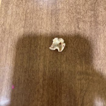 Ko Hyang Restaurant - Do I need to eat pig's tooth in the soup? - Korean Near Me - Chantilly, Virginia
