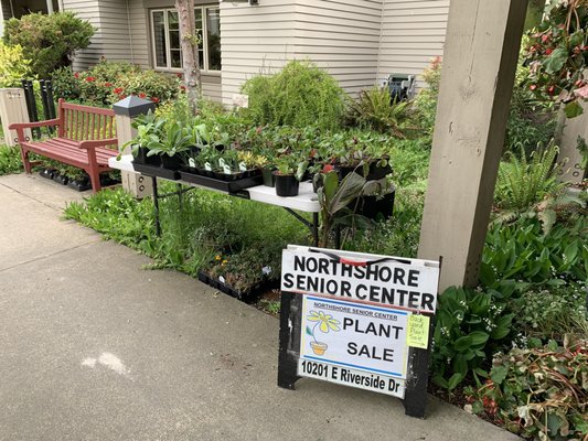 Northshore Senior Center by null