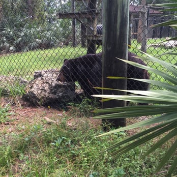Busch Wildlife Sanctuary - Zoos Near Me - Jupiter, Florida Busch Wildlife Sanctuary - Zoos Near Me - Jupiter, Florida