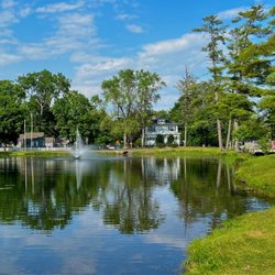 Crandall Park - fountain, lake, geese, ducks, trees, houses, cars, people