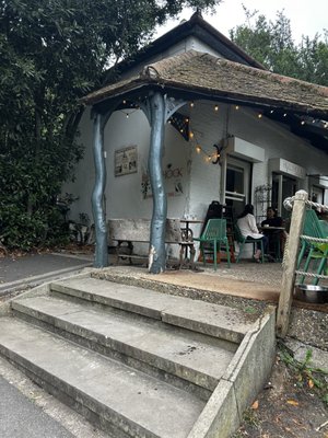 Hollyhock Vegetarian Fairtrade Cafe by null