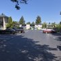 Looker Asphalt