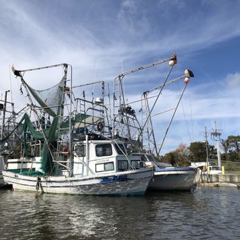 Ultimate Swamp Adventures - Tours Near Me - Westwego, Louisiana Ultimate Swamp Adventures - Tours Near Me - Westwego, Louisiana
