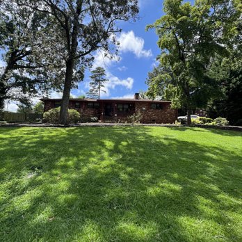 Golden Leaf Tree Service - all cleaned up, clean yard - Tree Services Near Me Golden Leaf Tree Service - all cleaned up, clean yard - Tree Services Near Me