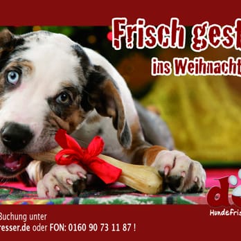 Dogdresser - Pet Groomers Near Me - Hamburg, HH Dogdresser - Pet Groomers Near Me - Hamburg, HH