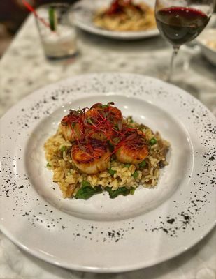 Libertine North End by null