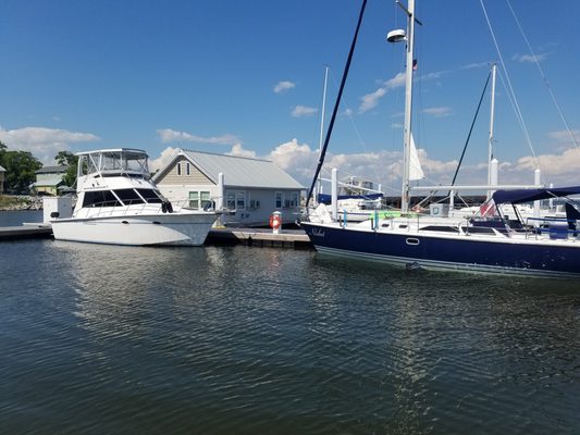 The Houseboats of Seville Harbour by null