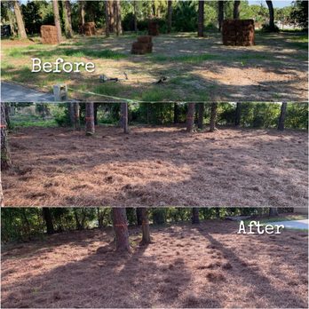 Williams Tree Service - Tree Services Near Me Williams Tree Service - Tree Services Near Me