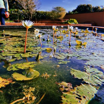 Fruit & Spice Park - Cute lil pond - Parks Near Me - Homestead, Florida