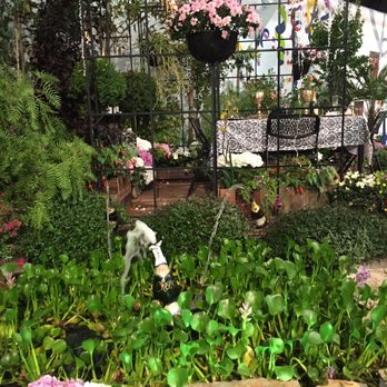 Sonoma County Fair - More flowers - Festivals Near Me - Santa Rosa, California