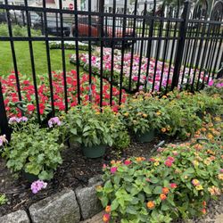Linwyck Gardens