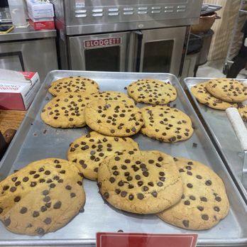 Mattheessen's - chocolate chip - Desserts Near Me - Key West, Florida