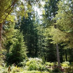 Almost Paradise Lodging - The Meadow garden