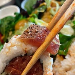 Oishii Sushi - Everything was so delicious The Best Albacore