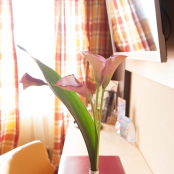 Hotel Uhu Köln GmbH - warme Farben erwarten Sie - Hotels Near Me - Cologne, NW Hotel Uhu Köln GmbH - warme Farben erwarten Sie - Hotels Near Me - Cologne, NW