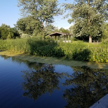 Lake Manor Park - Pond - Parks Near Me - Addison, Illinois