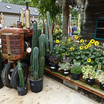 Groovy Plants Ranch - Plant Display - Nurseries & Gardening Near Me - Marengo, Ohio