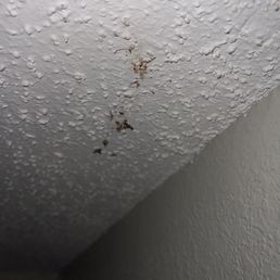 That's a smashed massive roach. I found on the wall looking at me. Disgusting damn right I killed it.