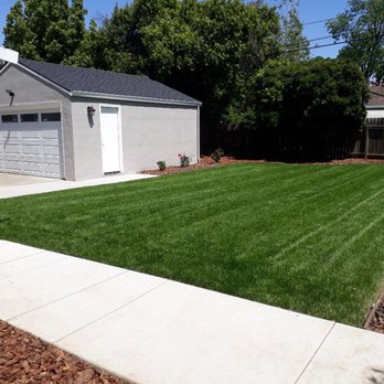 DST Landscaping and Maintenance Services - Result photo after service - Landscaping Near Me - Sacramento, California DST Landscaping and Maintenance Services - Result photo after service - Landscaping Near Me - Sacramento, California