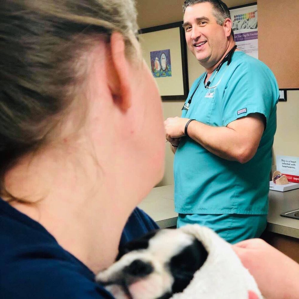 BOCAGE ANIMAL HOSPITAL Veterinarians 7353 Jefferson Hwy, Baton