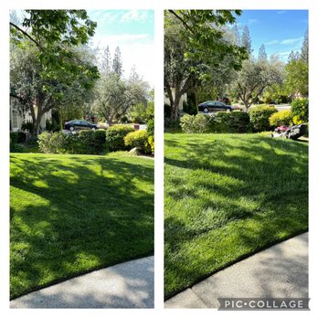 Cutting Edge Property Solutions - Little before and after. - Gardeners Near Me - Fresno, California