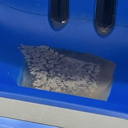 Hucks - Overgrown mold and bacteria