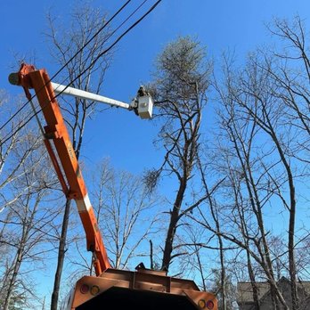 Tri Cities Tree Service - Tree Services Near Me - Telford, Tennessee Tri Cities Tree Service - Tree Services Near Me - Telford, Tennessee