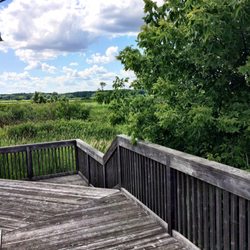 Elizabeth Lake Nature Preserve Varga Archaeological Site - Walking up to the lookout area near the parking lot. There is seating along this area.