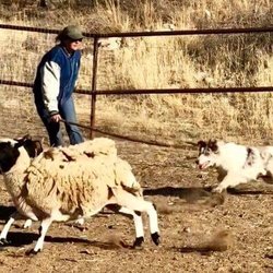 empire ridge ranch