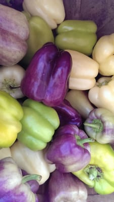 Hip Donelson Farmers Market by null