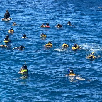 Turtles and You - Fun at Sea... - Boat Tours Near Me - Honolulu, Hawaii Turtles and You - Fun at Sea... - Boat Tours Near Me - Honolulu, Hawaii