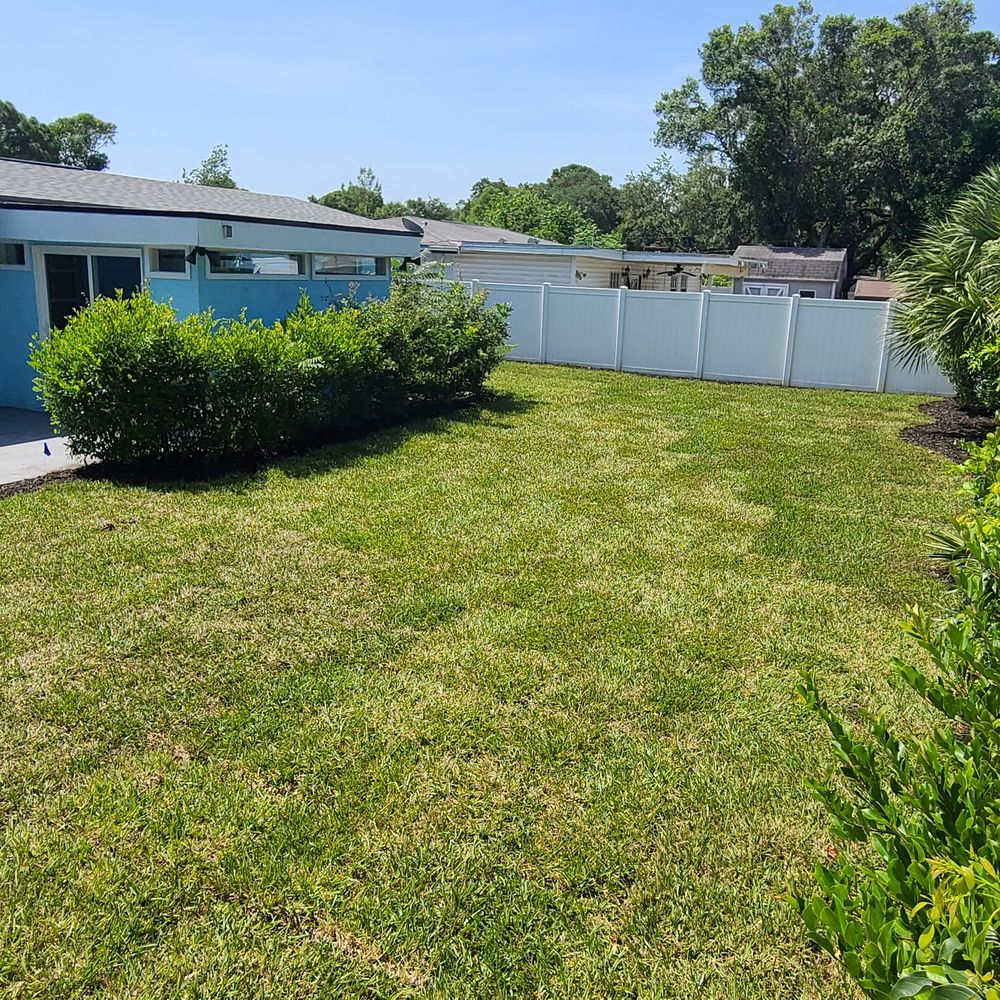 Cds landscaping - Rear - after - Landscaping Near Me - Saint Petersburg, Florida
