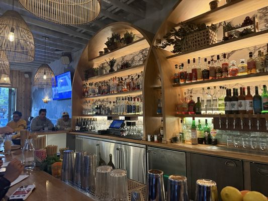Bar Darling by null