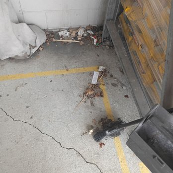 Walmart - The lawn and Garden area where bugs are nesting - Department Stores Near Me - Northlake, Illinois Walmart - The lawn and Garden area where bugs are nesting - Department Stores Near Me - Northlake, Illinois