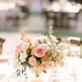 Loie Photography