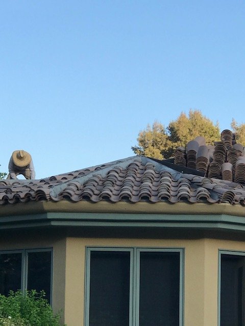 Slide of Suntech Consulting & Roofing