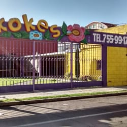 Kokes - Kokes