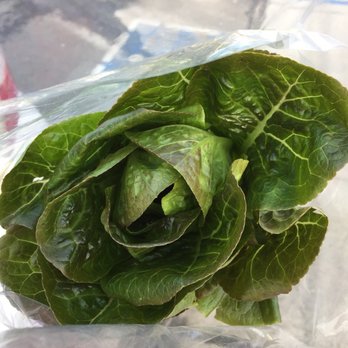 Daily Harvest Express - Look at this stunning red romaine lettuce bunch! It's perfect! - Farmers Market Near Me - Carlsbad, California Daily Harvest Express - Look at this stunning red romaine lettuce bunch! It's perfect! - Farmers Market Near Me - Carlsbad, California